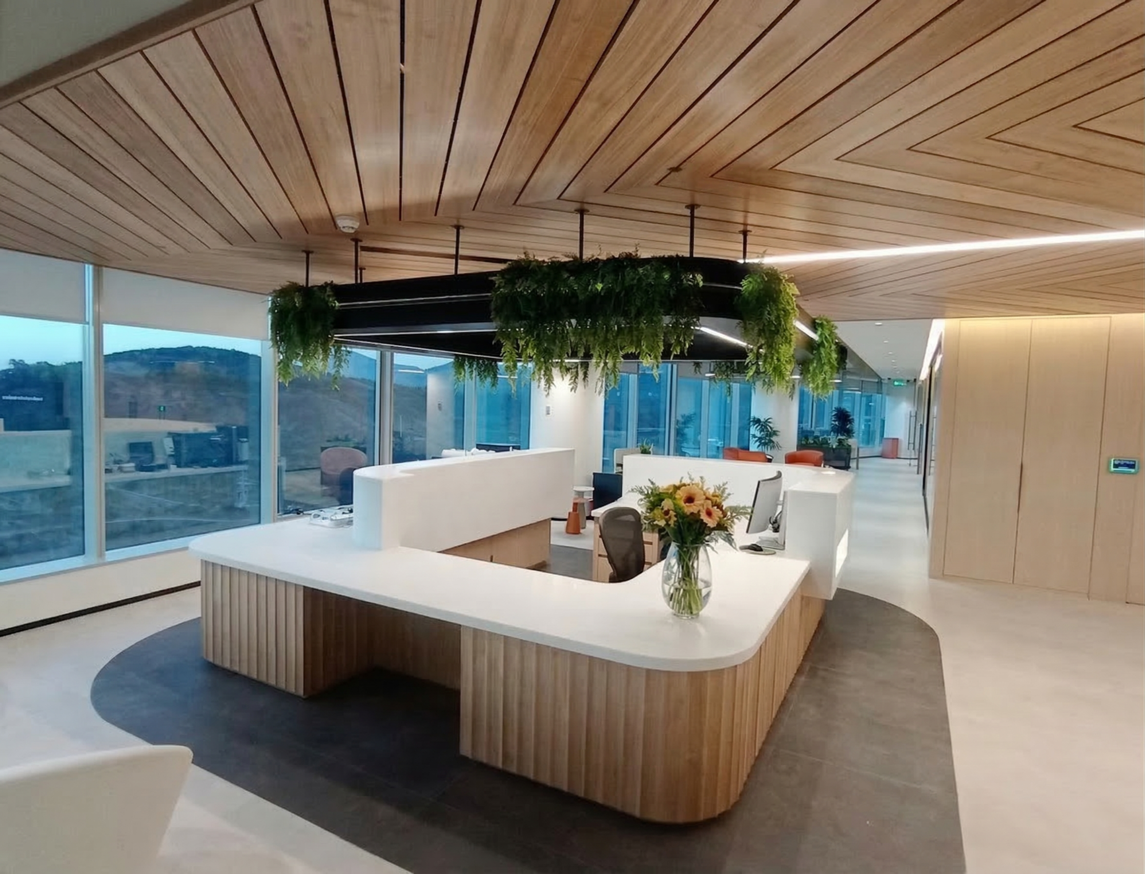 Galeria de proyectos